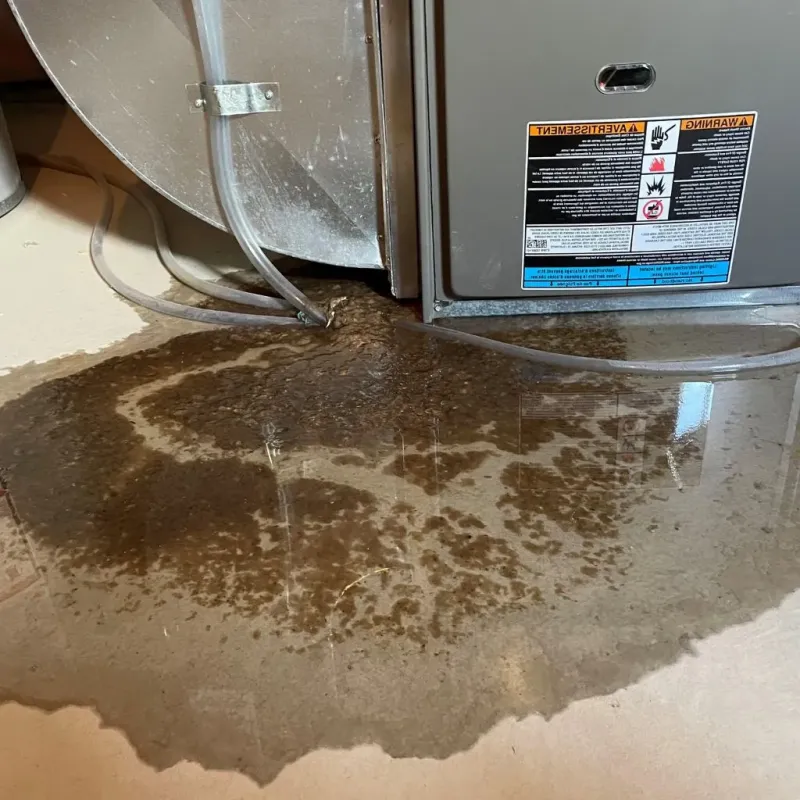 Pipe Burst and Leak Restoration in Schuyler County, NY